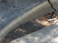 rrente Quarantore-20110911 038